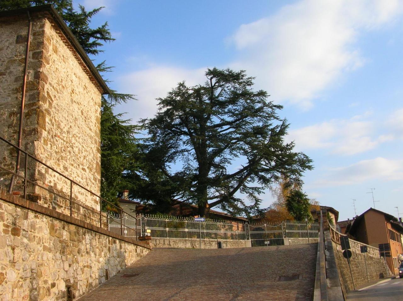 Bed and Breakfast Antica Scuderia Buttrio Zewnętrze zdjęcie